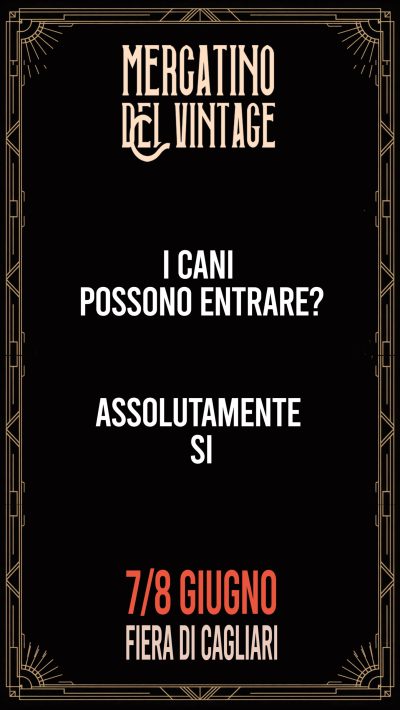 faq5 instagram 9 16